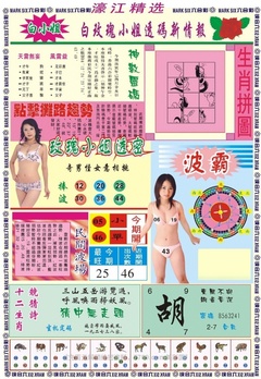 濠江精选B